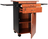 Multimedia Presentation Cart